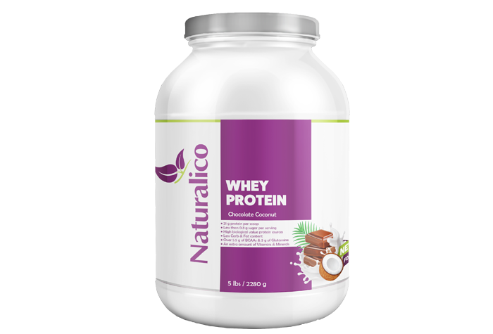 WHEY PROTEIN CHOCOLATE COCONUT
